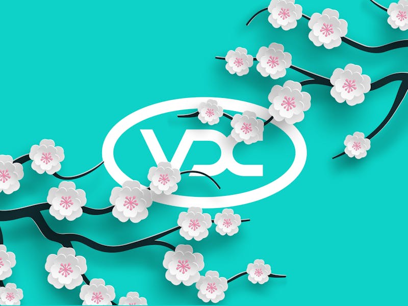 VDC Spring Newsletter - March 2022